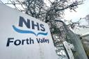 NHS Forth Valley has appointed a new interim chair on a one-year contract.