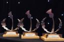 RECOGNITION: Entries are open for the 30th Scottish Thistle Awards
