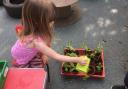 Children at Sunnyside ELC have been getting closer to nature, growing as responsible citizens