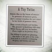 A Tiny Twitter by James Christie