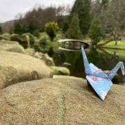 CHALLENGE: The Japanese Garden is looking for groups and people to help fold 1,000 origami cranes by the end of 2023
