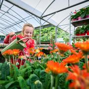 LITTLE SEEDLINGS: The Stirling garden centre is hosting events and clubs this summer