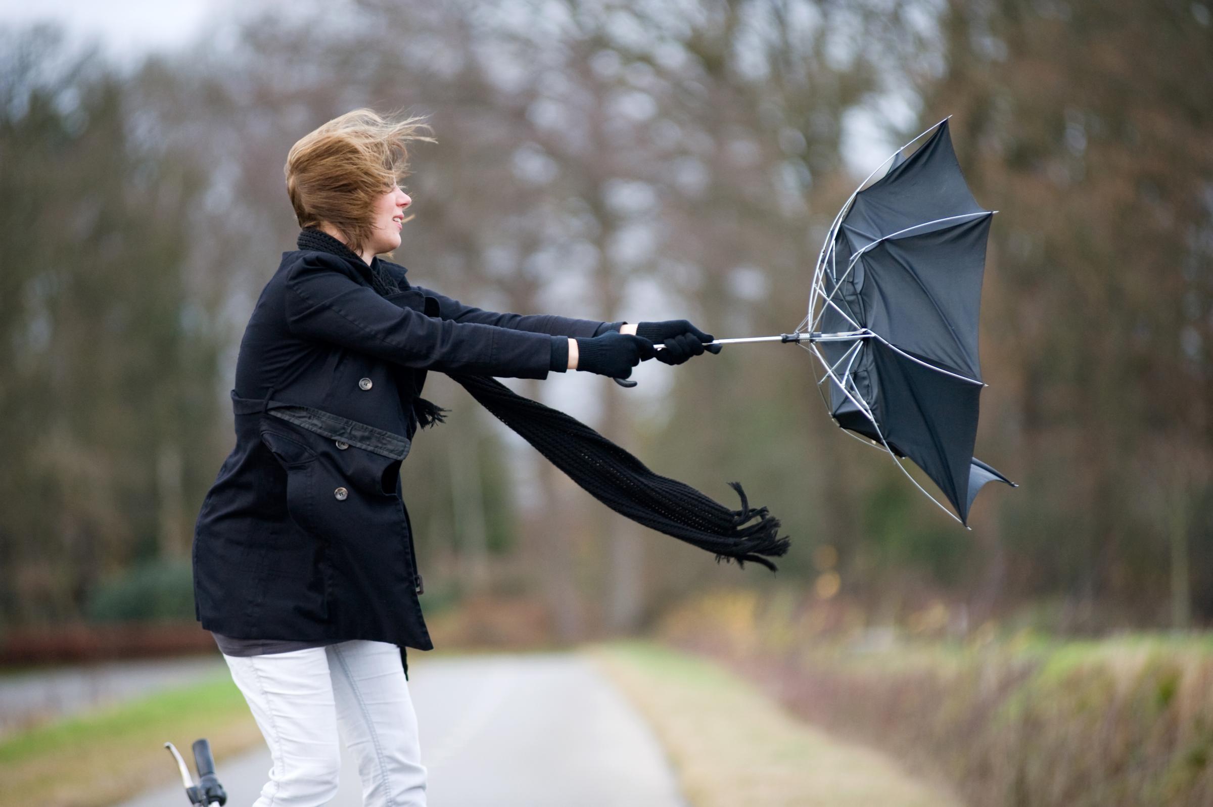 Strong winds set to batter county as yellow weather warning issued