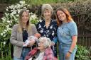 The five generations gathered for Irene's 105th birthday, including one-week-old great, great granddaughter Blaire