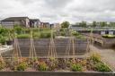 Tullibody Community Garden will also be welcoming guests