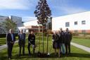 PLANTING: The tree was planted as part of a Queen's Green Canopy project