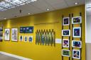 GALLERY: The works are on display at the Thistles in Stirling