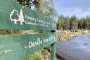 More than four hectares of woodland in Devilla Forest will be permanently lost if a battery storage scheme goes ahead.