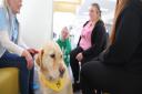 CANINE FRIENDS: More Paws Against Stress sessions will be delivered at Forth Valley College's Alloa Campus thanks to Tesco shoppers voting for the initiative.