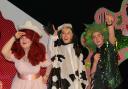 PANTO: Pupils at Alloa Academy put on a stunning and colourful show. Pictures by Jamie Smith.