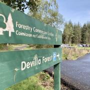 Devilla Forest near Kincardine