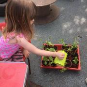 Children at Sunnyside ELC have been getting closer to nature, growing as responsible citizens