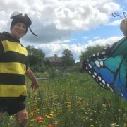 DELIGHTED: Volunteers at the Tullibody Community Garden were thrilled to see bugs visiting their garden. Pictures provided by Tullibody Community Garden.