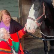 INCLUSION: Equi-Power cater to disabled people with an interest in horse riding.