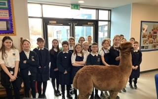 POP-UP: The Redwell Cafe is open every fortnight and featured a visit from special guest Annie the Alpaca.