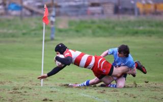 FIGHTING BACK: Alloa almost made a second half but lost out on late half tries from Blairgowrie. Pictures by Alloa RFC.