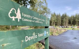 More than four hectares of woodland in Devilla Forest will be permanently lost if a battery storage scheme goes ahead.